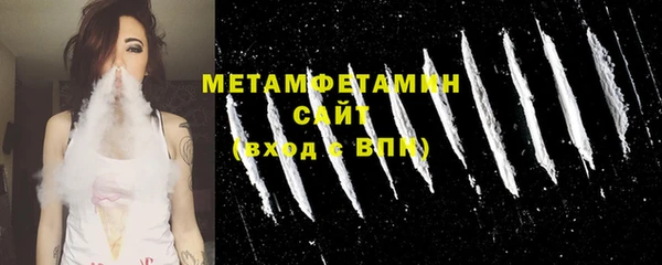прущие грибы Богородицк