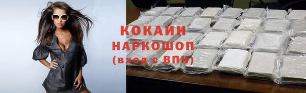 прущие грибы Богородицк