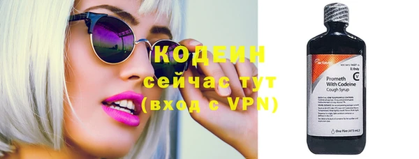 соль ск Богданович