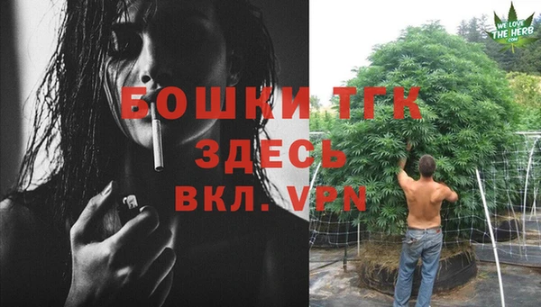 мяу мяу мука Аркадак