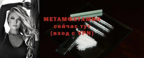 прущие грибы Богородицк