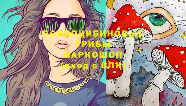 соль ск Богданович