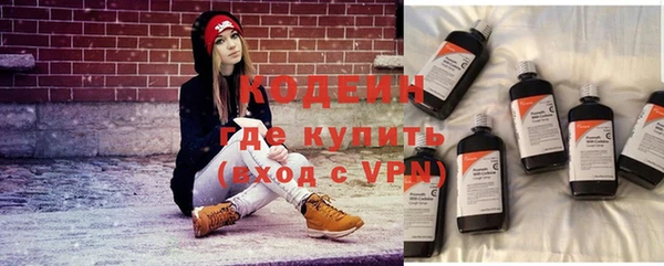 прущие грибы Богородицк