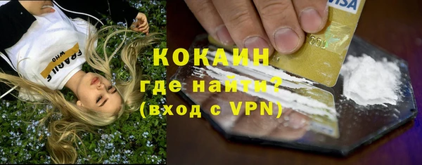 прущие грибы Богородицк
